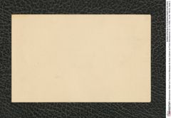 Nachlass Franz Steindachner, Brief von Francisco Marques de Goes Calmon an Franz Steindachner (31.10.1906), Inv.Nr. 169.02, Seite 2